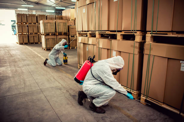 Best Affordable Pest Control Services  in La Verkin, UT