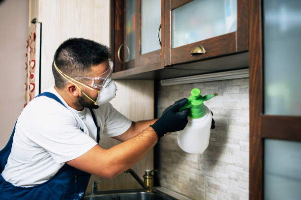 Best Pest Prevention Services  in La Verkin, UT
