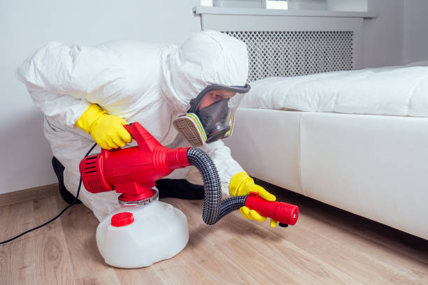 Best Residential Pest Control  in La Verkin, UT