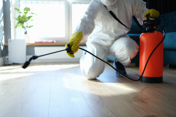 Best Affordable Pest Control Services  in La Verkin, UT