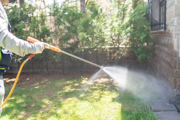 Best Pest Removal Services  in La Verkin, UT