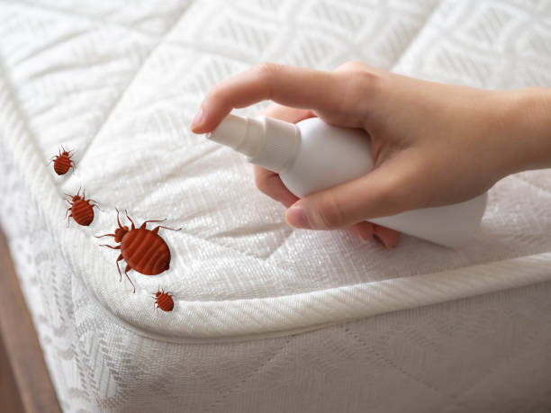Best Pest Inspection Near Me  in La Verkin, UT